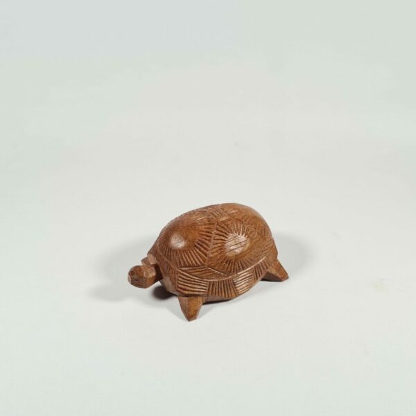 Tortue en bois palissandre T1